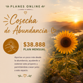 Cosecha de Abundancia