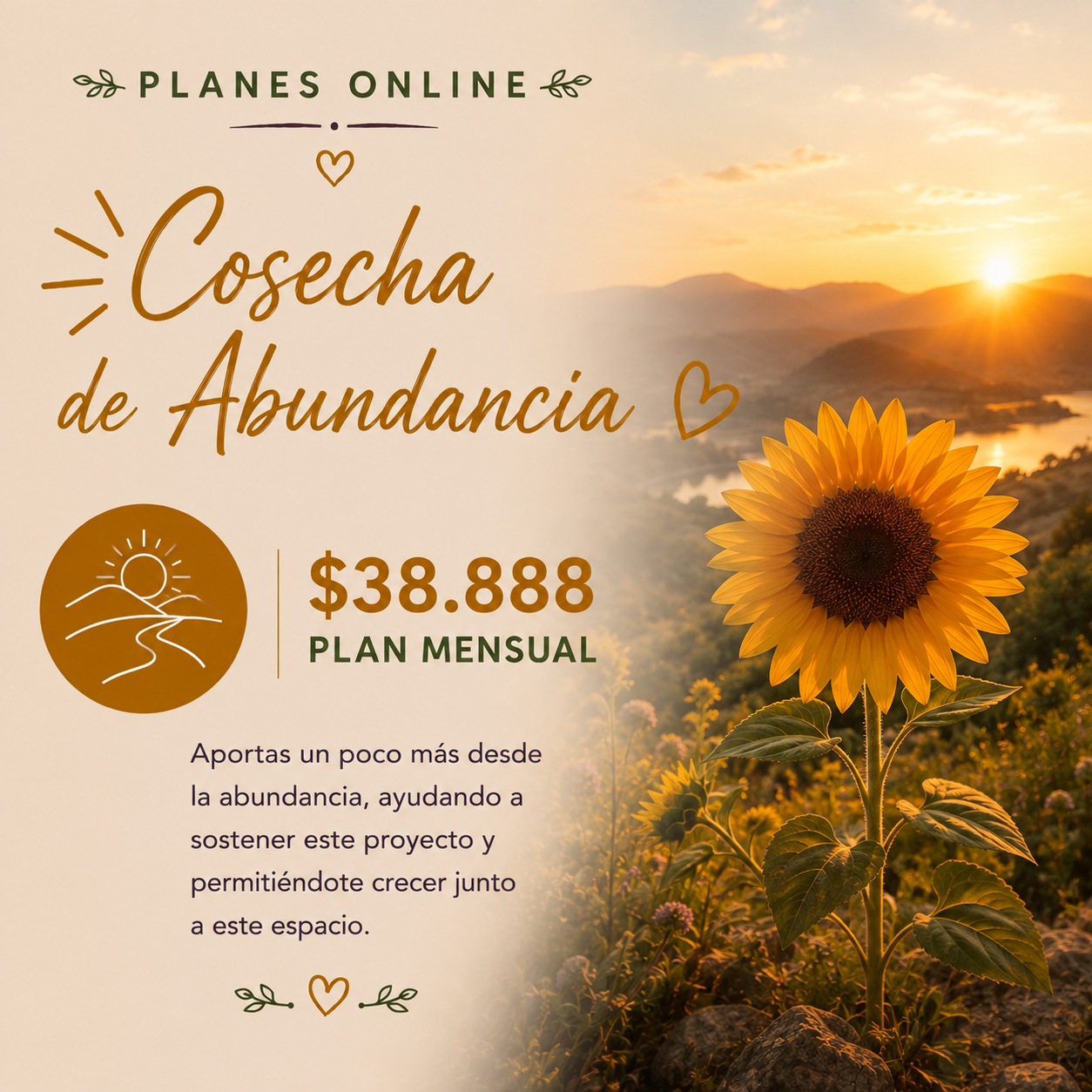 Cosecha de Abundancia